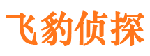 焉耆市私家侦探